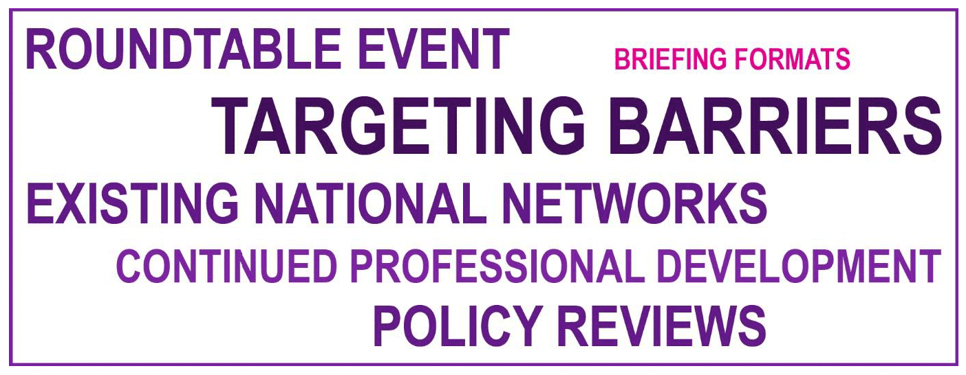 Word cloud with other ways to ensure learning, as identified by respondents. These include: 'Policy reviews' (2), 'Targeting barriers' (3), 'Briefing formats' (1), 'Existing national networks' (2), 'Roundtable events' (2), and 'Continued Professional Development' (2).