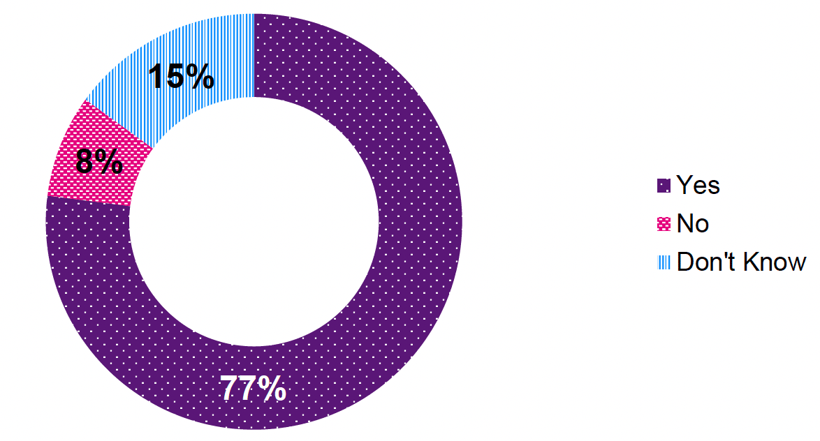 A doughnut chart of percentage responses on whether the Domestic Homicide Review model for Scotland should be underpinned by legislation. 77% of respondents answered 'Yes', 8% answered 'No', and 15% answered 'Don't Know'.