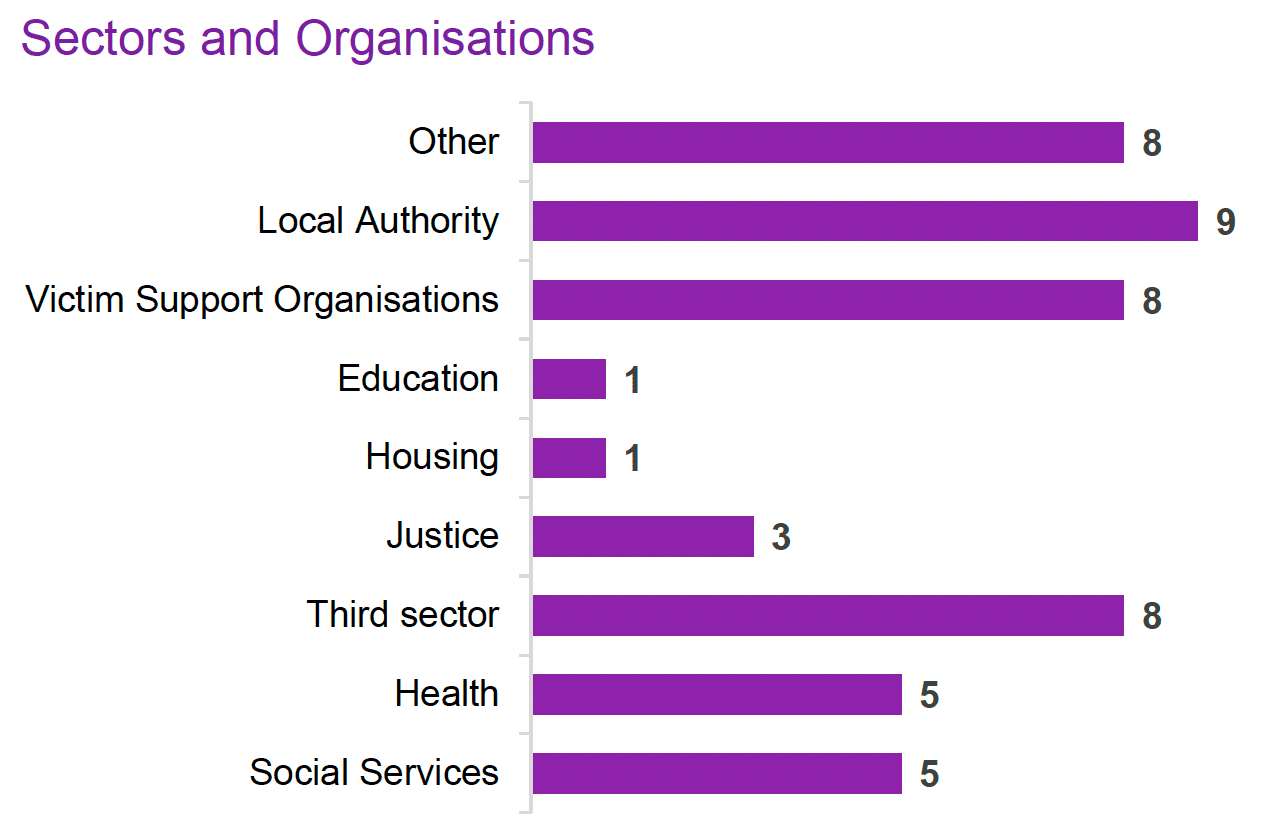 Comparative bar chart showing the frequency of representation of various sectors during the engagement sessions. There was representation from 'Social Services' (5), 'Health' (5), 'Third sector' (8), 'Justice' (3), 'Housing' (1),'Education' (1), 'Victim Support Organisations' (8), 'Local Authority' (9), and 'Other' (8).