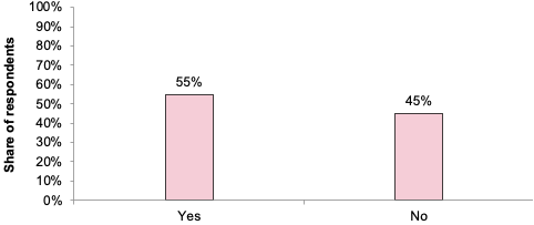 A bar chart presenting a breakdown of the responses to the closed part of Question 11. 55% of the respondents to this question answered “Yes”, and 45% answered “No”.