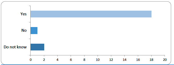 Bar chart showing responses to the question: 'Is primary legislation the most effective way to resolve uncertainty about the status of digital assets in Scots private law?' The majority of respondents (18 out of 21) answered 'Yes'. One respondent answered 'No', and two answered 'Do not know'. This shows strong support for using primary legislation to clarify the status of digital assets in Scots private law.
