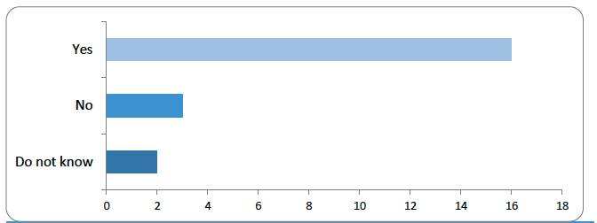Bar chart showing responses to the question: 'Should digital assets be classified as incorporeal moveable things?' Sixteen respondents answered 'Yes'. Three answered 'No', and two answered 'Do not know'. There was a broad level of support for classifying digital assets as incorporeal moveable property.