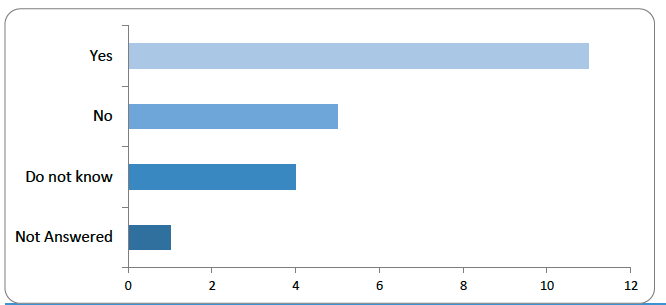 Bar chart showing responses to the question: ‘Should “independent existence” be a defining criterion for digital assets to be recognised as property?' Eleven respondents answered 'Yes'. Five answered 'No', four answered 'Do not know', and one respondent did not answer. This suggests a more divided view, with a modest majority in favour.
