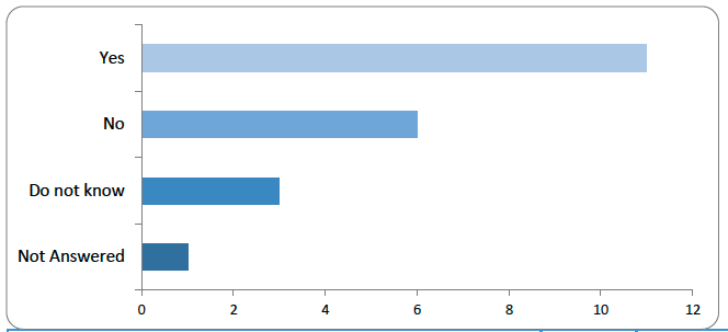 Bar chart showing responses to the question: ‘Are there any other provisions within devolved competence that should be included in possible future legislation?’ Eleven respondents answered 'Yes'. Six said 'No', three answered 'Do not know', and one did not respond. This suggests moderate support for additional provisions within devolved competence to be included. 