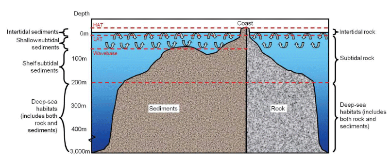 Figure 6. A generic cross-section of the seabed from the coast to deep waters offshore