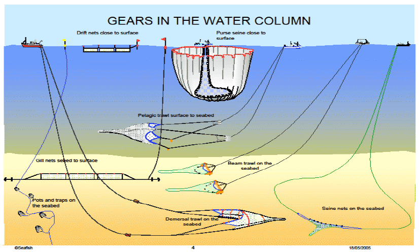 Figure 3a. Gears in the Water Column