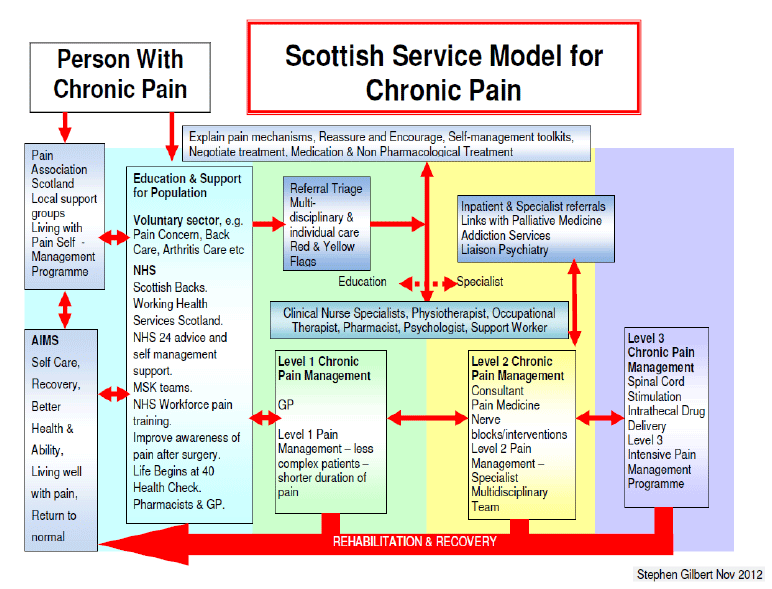 Annex B Scottish Service Model for Chronic Pain