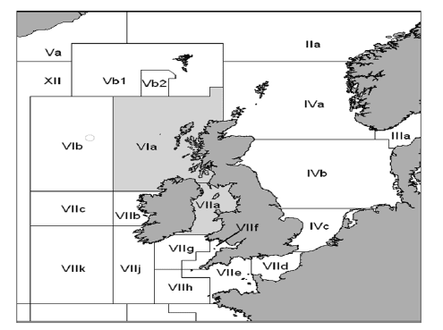 Figure 1 Fishing statistical divisions in the north-east Atlantic, with the primary queen scallop areas (VIa and VIIa) shown in light grey (Source: ICES). 