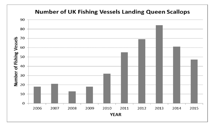 Figure 4 Number of UK fishing vessels recording landings of queen scallops into UK ports between 2006 and 2015 (from all fishing areas) (Source: MMO).
