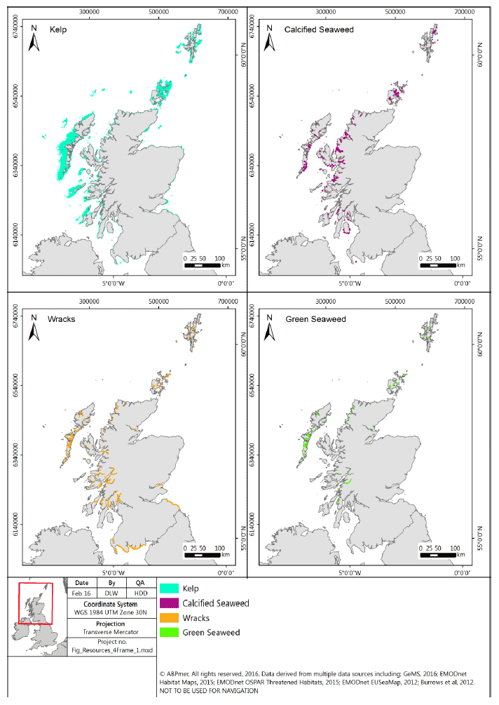 Figure 2: Available spatial information on the distribution of kelps, maerl, wracks and green seaweeds