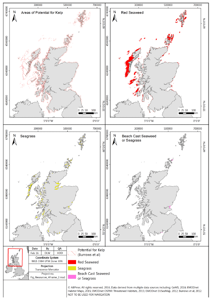Figure 3: Available spatial information on the distribution of potential areas for kelps, and the distribution of red seaweeds, seagrasses and beach-cast seaweeds or seagrasses