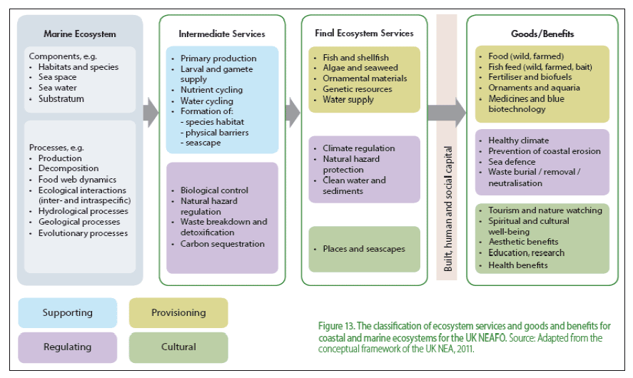 Figure 12: The classification of ecosystem services and goods and benefits