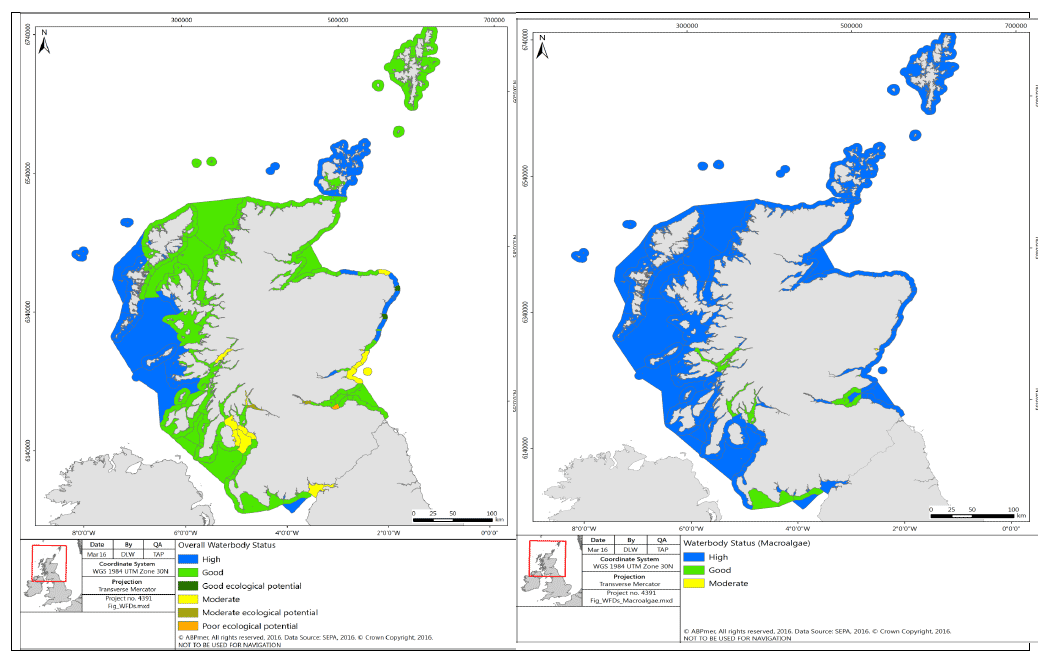 Figure 16: Water body status: overall and macroalgae in Scotland