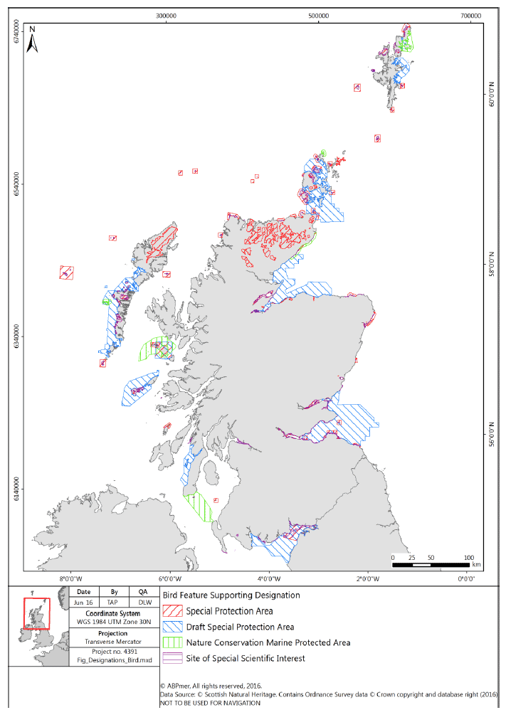 Figure 20: Designated and proposed sites supporting bird features that use coastal waters and could potentially overlap with living seaweed and birds that are dependent on beach-cast seaweed and/or intertidal seaweed beds