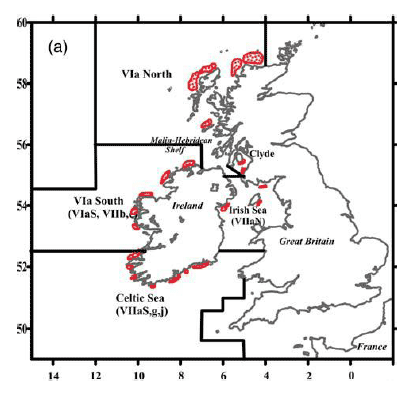 Figure 23: ICES management areas and the known spawning grounds for herring are shown in red