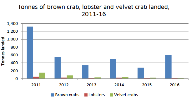 Figure 13: Tonnage of brown crabs, lobsters and velvet crabs landed by creel vessels from 41E3 and 42E3, 2011-16.