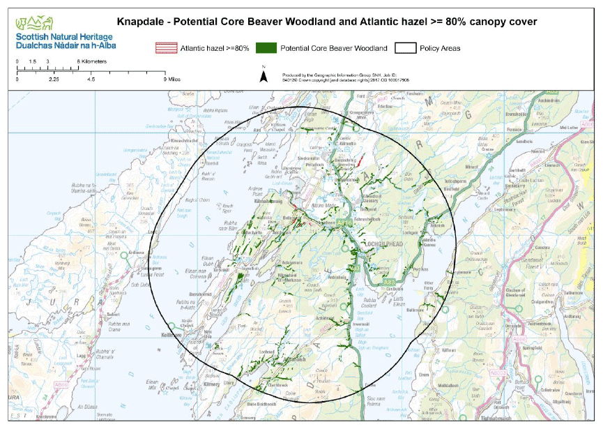 Map 11: Distribution of Atlantic hazel woods that overlap with core beaver woodland in the Knapdale beaver policy area