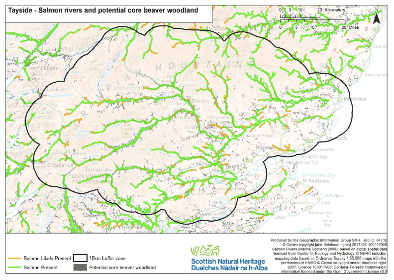 Map 27 - Tayside salmon rivers and potential core beaver woodland