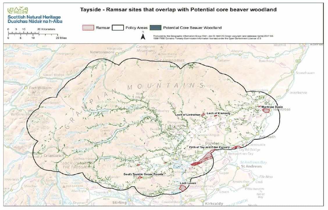 Map 6 - Tayside Ramsar sites and potential core beaver woodland