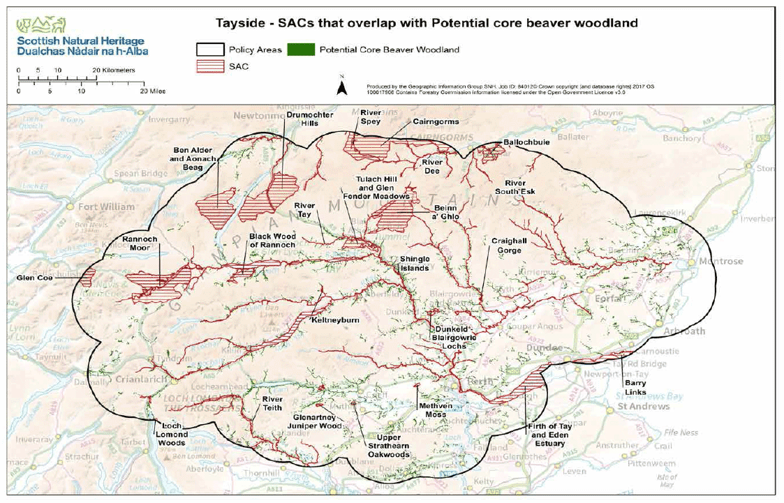 Map 8 - Tayside Special Areas of Conservation and potential core beaver woodland