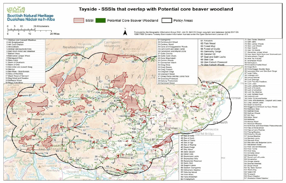 Map 9 - Knapdale Sites of Special Scientific Interest (SSSIs) and potential core beaver woodland
