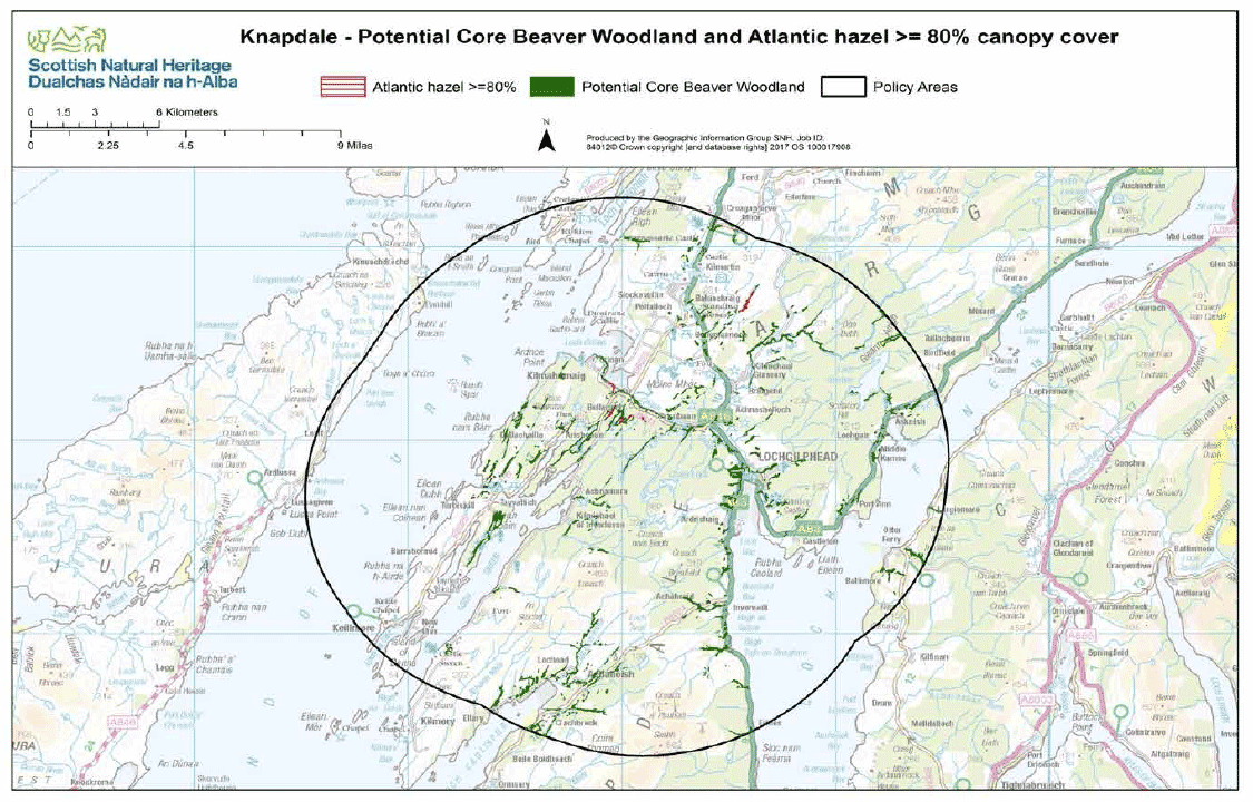 Map 11 - Knapdale potential core beaver woodland and Atlantic hazel