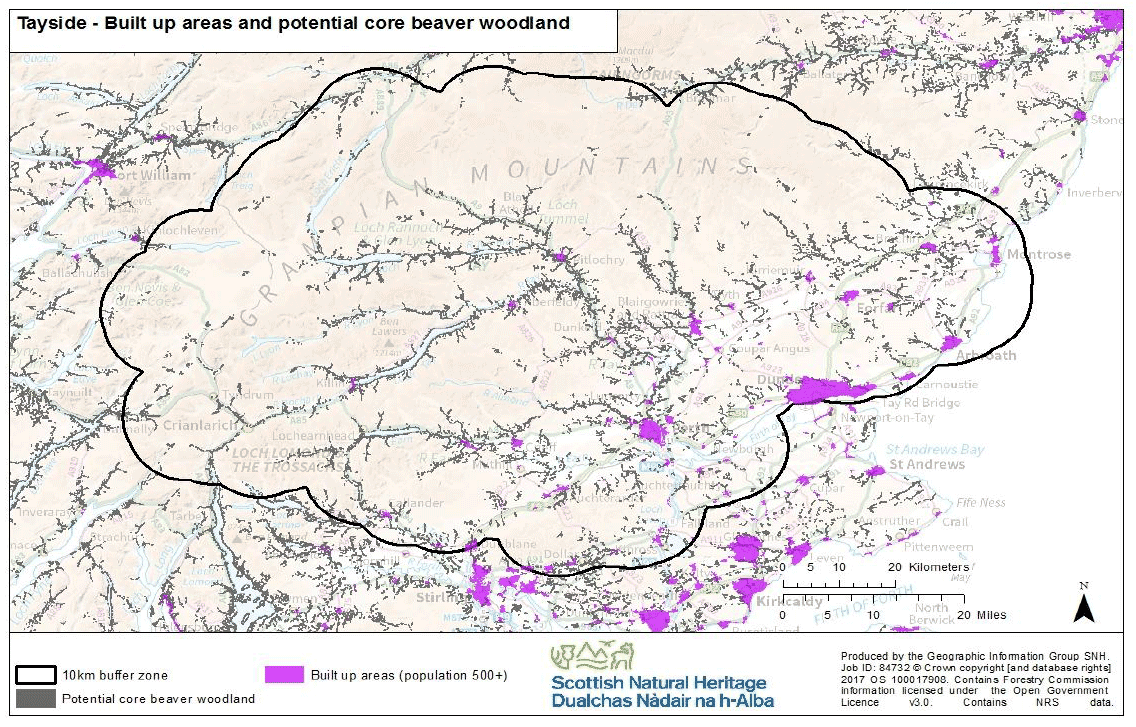 Map 19 - Tayside built up areas (population 500+) and potential core beaver woodland
