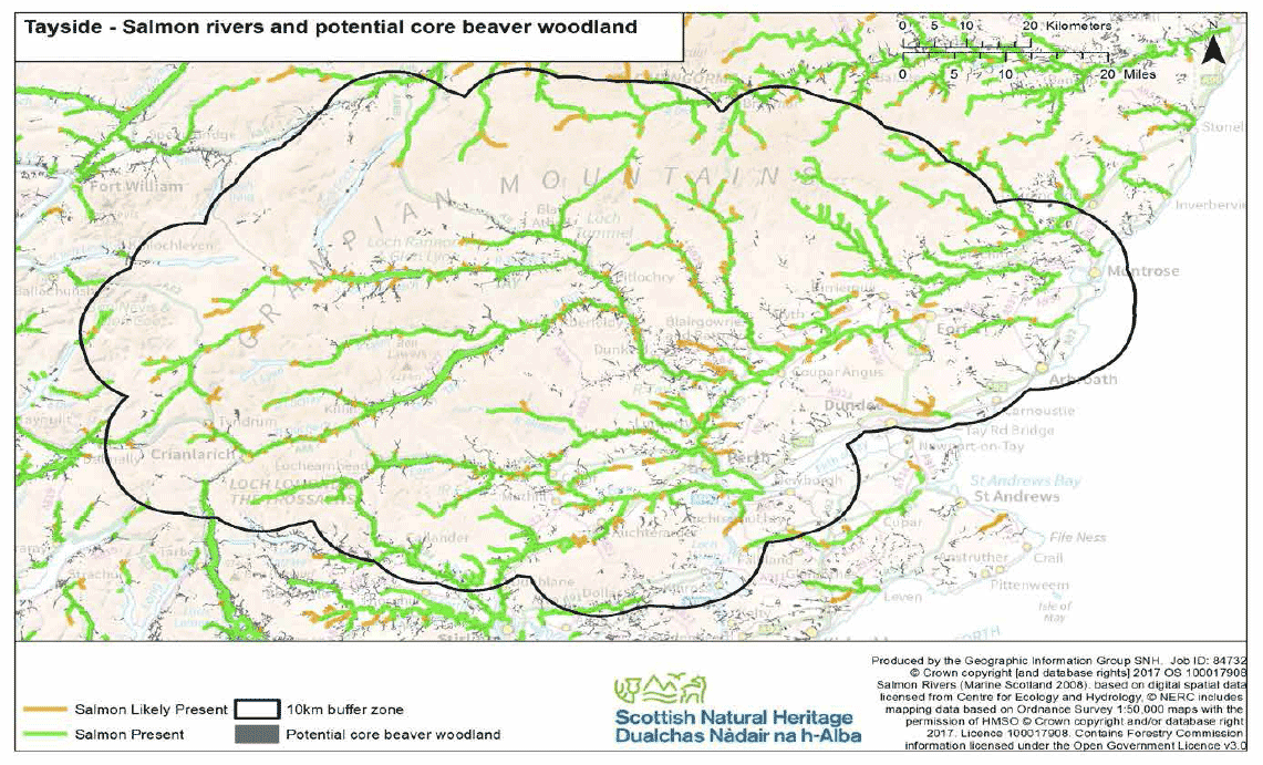 Map 27 Tayside salmon rivers and potential core beaver woodland