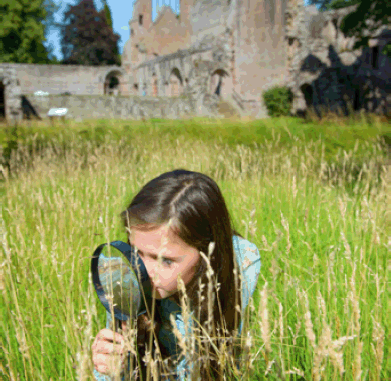 Dryburgh Abbey, Scottish Borders Credit: Historic Environment Scotland