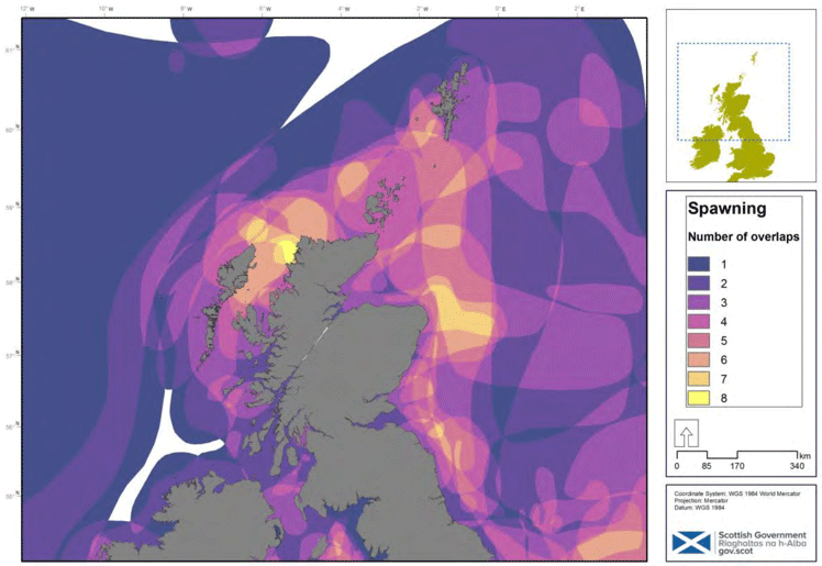 Figure 19: Extent and overlap amount of spawning areas for 11 species listed in (CEFAS, 1998) (cod and haddock excluded as their spawning locations have been updated). © Crown copyright and database rights (2018) OS (100024655).