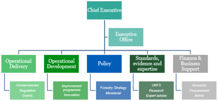 The diagram of Scottish Forestry’s organisational structure illustrates the 5 different teams which sit under the chief executive, and the functions they perform.   It also shows the Executive Office who provide support to the Chief Executive. 