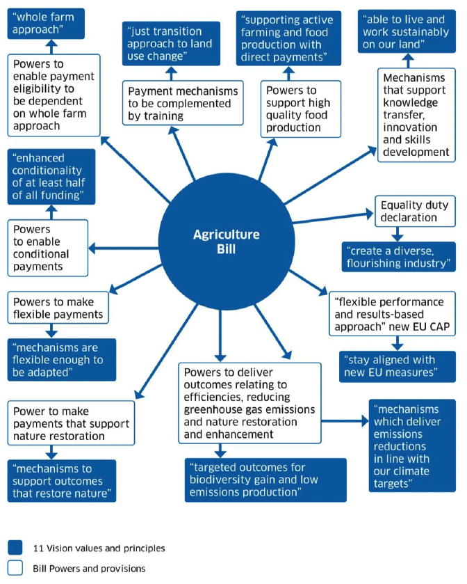A spider diagram showing the Agriculture Bill in the centre linked to a sample of consultation proposals which are shown to align to the Scottish Government’s Vision for agriculture values and principles. 