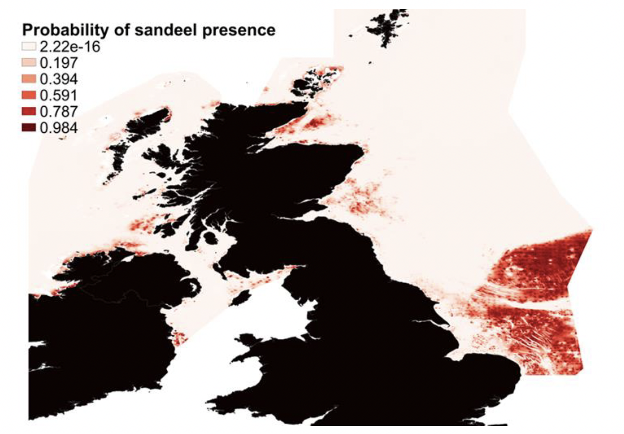 A map of the North and Celtic Seas showing areas of predicted probability of sandeel occurrence, illustrated by a colour ramp from 0 (light colour) to 1 (dark colour). The highest probability of presence is seen in the Dogger Bank area, but the model also identifies known areas of sandeel grounds off the east coast of Scotland and off the west coast. 