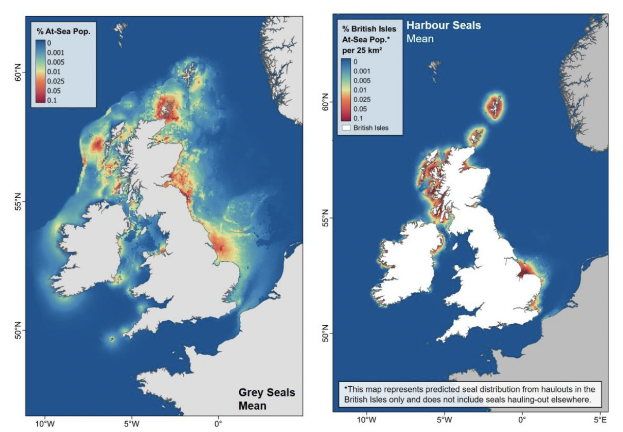 A map of the UK and Ireland showing predicted grey seal densities at sea. Densities are highest around major haul out sites and decrease with distance from coast, with offshore hotspots of activity in the southern north sea and towards the continental shelf edge, west of the outer Hebrides.A map of the UK and Ireland showing predicted harbour seal densities at sea. Densities are highest around major haul out sites and decrease with distance from coast.