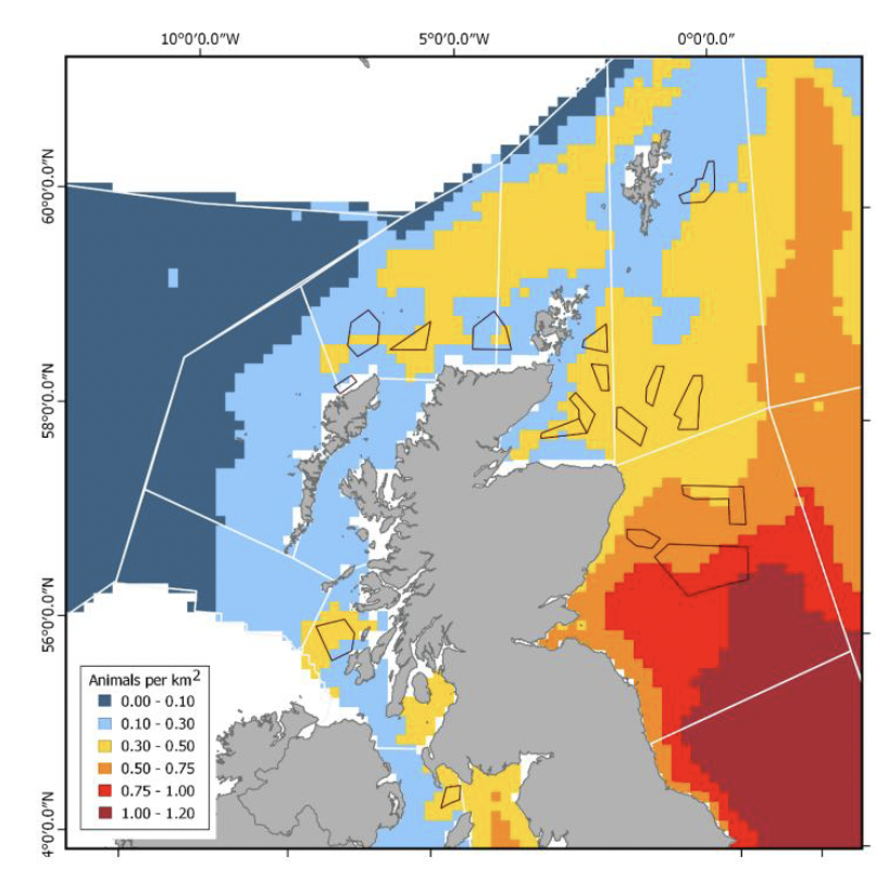 A map of Scottish waters showing predicted density of harbour porpoise in 2016. Animals are predicted to be infrequently found on the West coast, and more frequently on the East coast. This frequency increases the further South along the coast. 