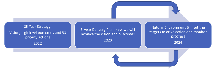 A flow chart showing how the three parts of the Biodiversity Strategic Framework - the Strategy, 5-year Delivery Plans and the Natural Environment Bill - are interlinked. 