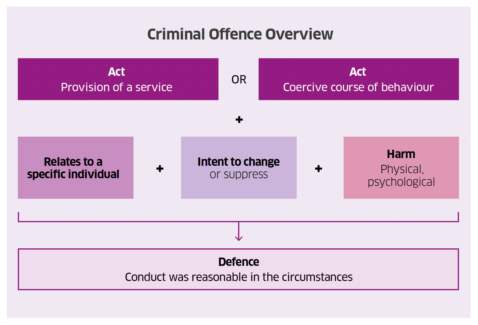 Overview of the key elements of the proposed criminal offence of engaging in conversion practices.