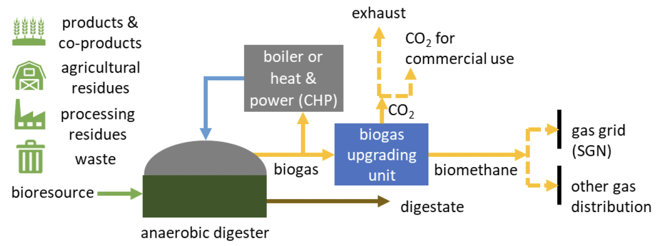 This image depicts the anaerobic digestate process. Bioresources are processed in an anaerobic digester, where they are turned into biogas and digestate, with the former going to power heat and electricity and/or being upgrade to biomethane that can be distributed as an alternative to natural gas. If biomethane is generated, the CO2 that is separated from the biogas can be either vented or captured for further use.