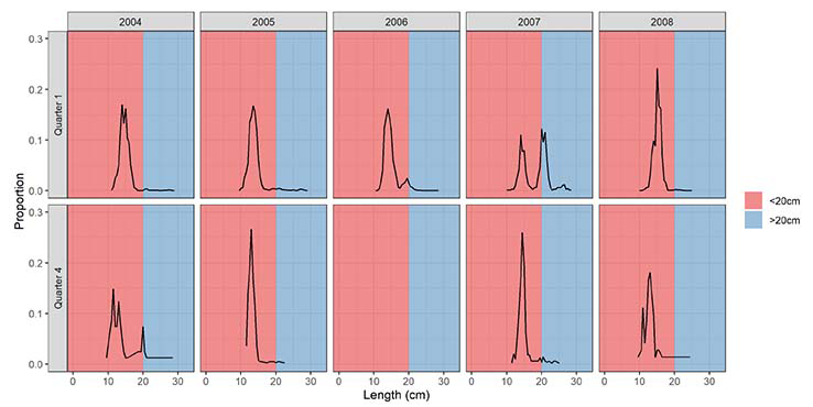 Figure showing proportion of herring at length from IBTS catches in quarter 1 and quarter 4, 2004 - 2008.