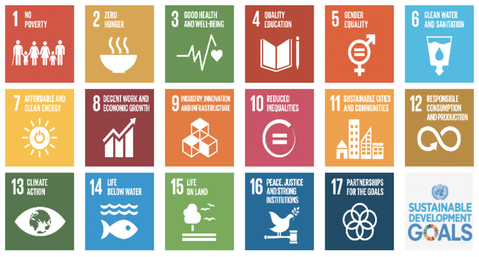 Image showing the 17 UN Sustainable Development Goals.