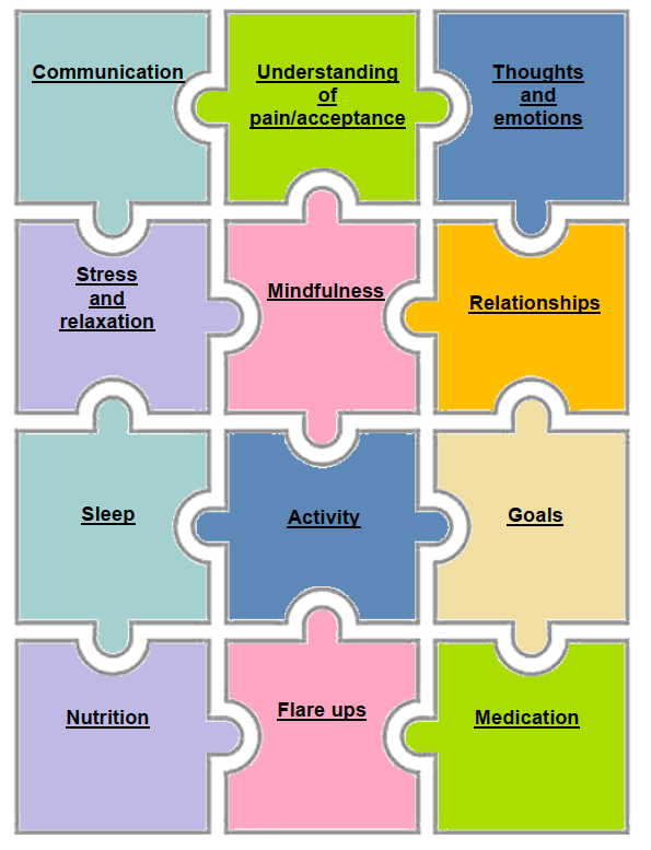 Image demonstrating the interconnected relationship between different elements of pain management discussed in this chapter: communication, understanding of pain/acceptance, thoughts and emotions, stress and relaxation, mindfulness, relationships, sleep, activity, goals nutrition, flare ups, medication.