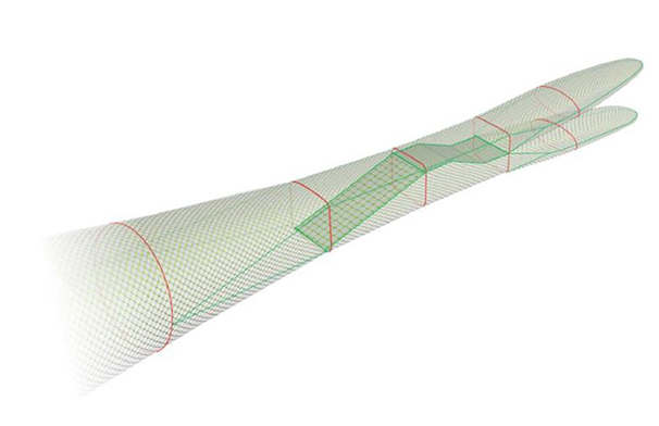 A diagram of a duel codend seperator net. Showing the presence of an incline panel climbing from the belly of the net to the opening of the top codend