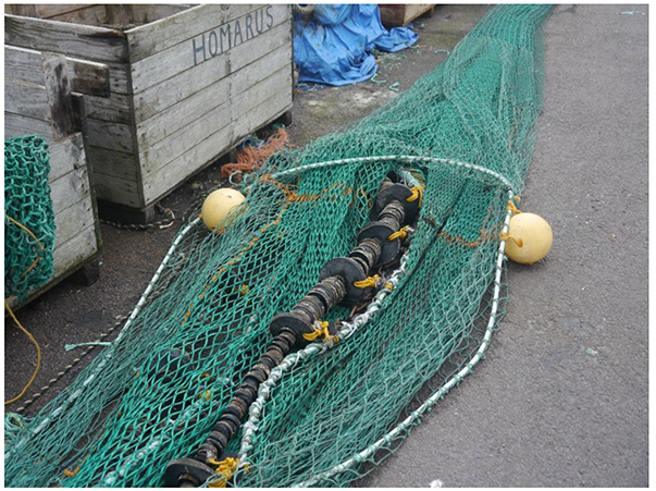 A diagram showing a coverless nephrops trawl laid out on a harbour.