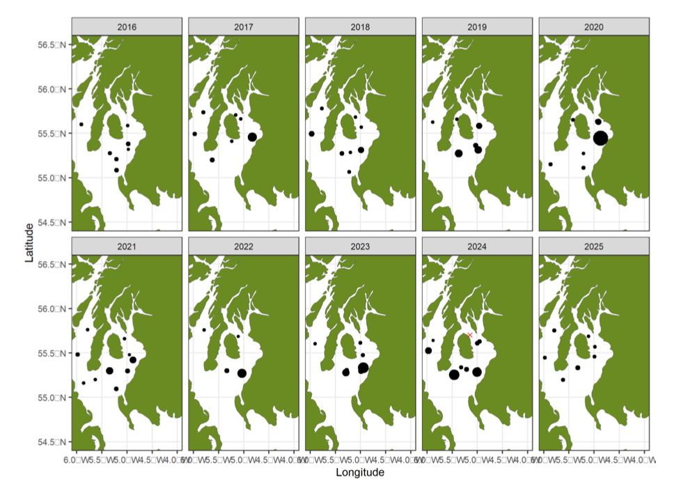Hauls done around the Clyde. Mix of weights with 2020, 2023 and 2024 being larger
