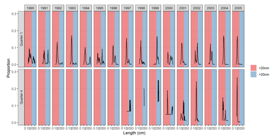 Fish under 20cm make up the majority in all years expect in 1992, 1995, Q4 of 1997 and 1998, and in all of 1999