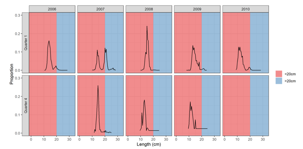 Fish under 20cm make up the majority in all years except 2007