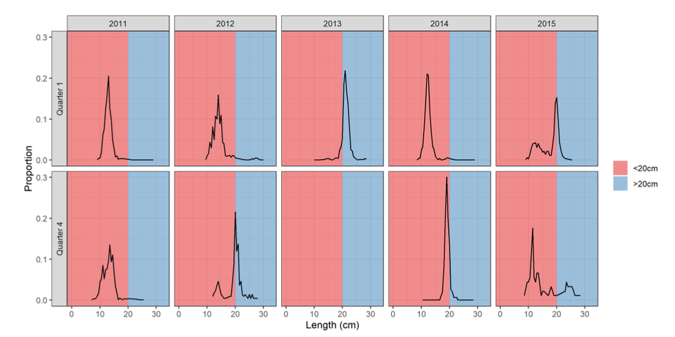 Fish under 20cm make up the majority in all years except Q4 2012 and Q1 2013