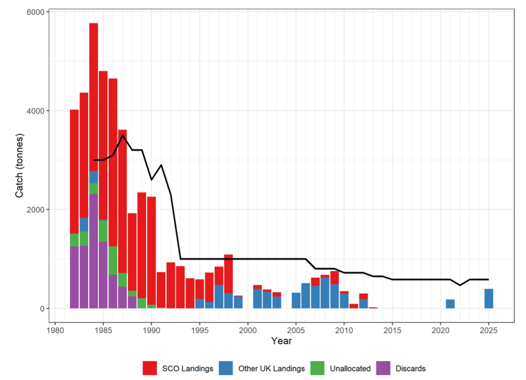 Landings and TAC have decreased from a peak in 1980s. Recent years see minimal catches by Other UK boats