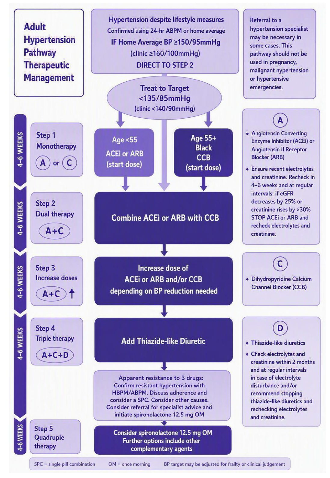 Algorithm of pathway steps each lasting 4-6 weeks. Step 1 is monotherapy, Step 2 dual therapy, Step 3 increase doses, Step 4 triple therapy and Step 5 quadruple therapy.