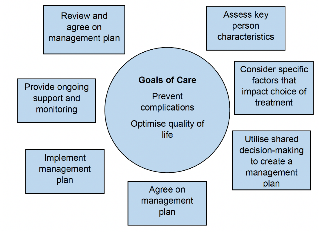 Simplified diagram version of the decision cycle for T2DM management, centred around goals of care.